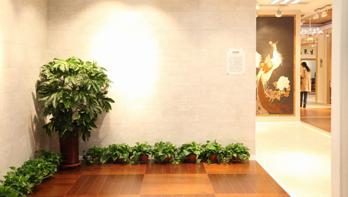 創(chuàng)新發(fā)展，永不止步 4