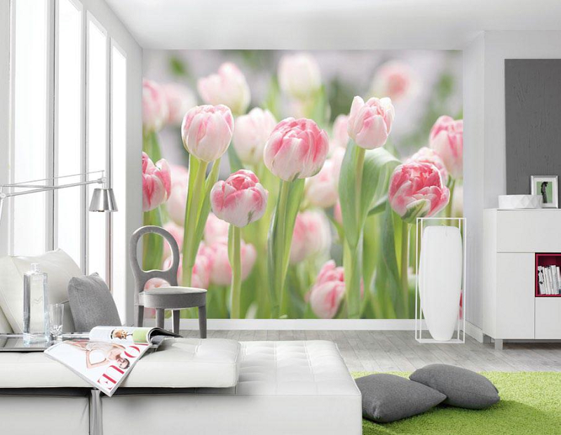 得高強墻聯手，描繪墻面畫卷    圖片5