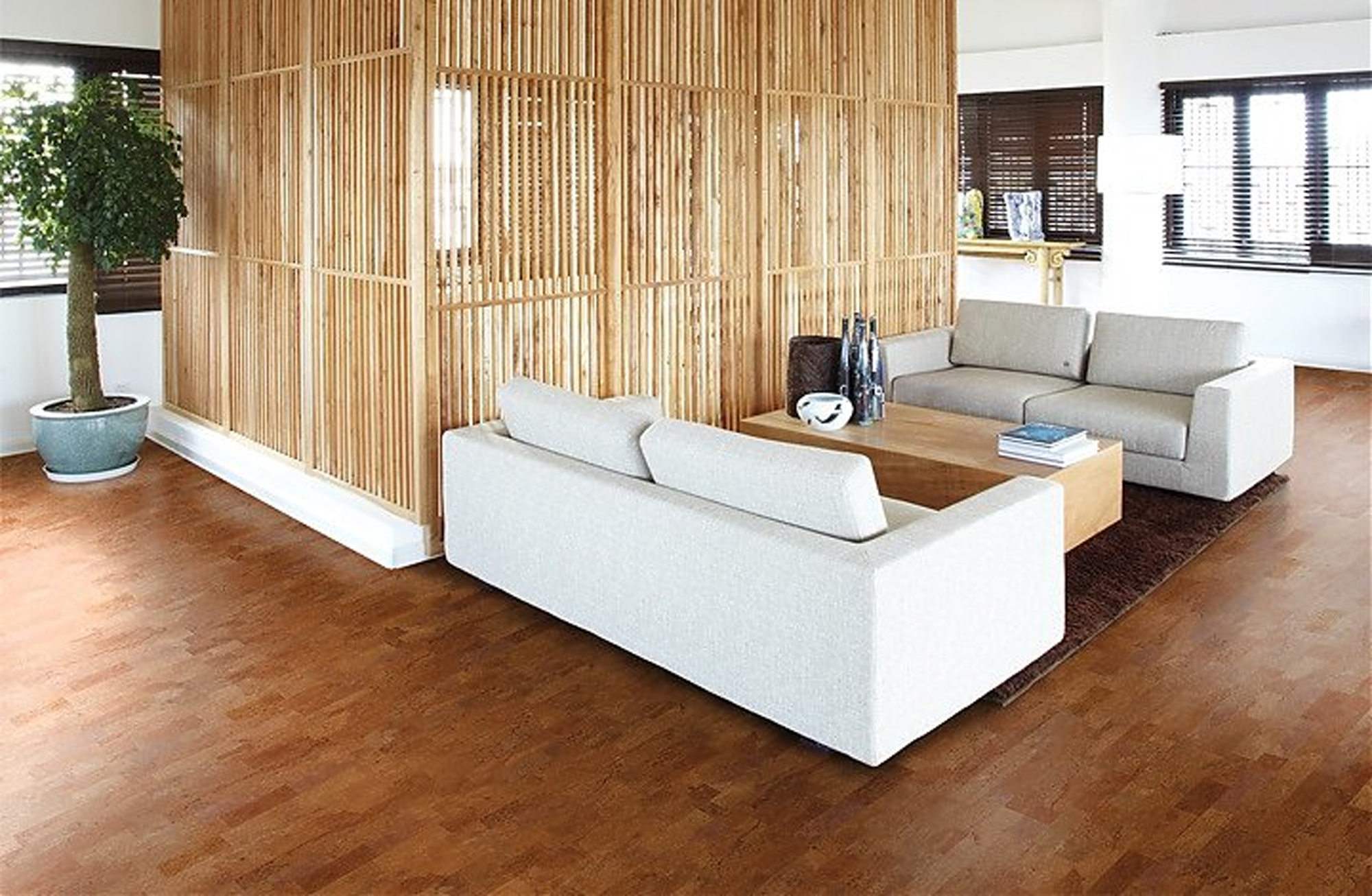 環(huán)保地板，放心裝家 圖片6