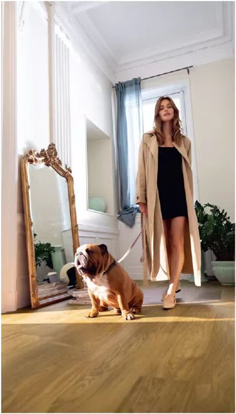 “寵物友好型”地板，得高Quick-Step無懼生活考驗 圖片 8