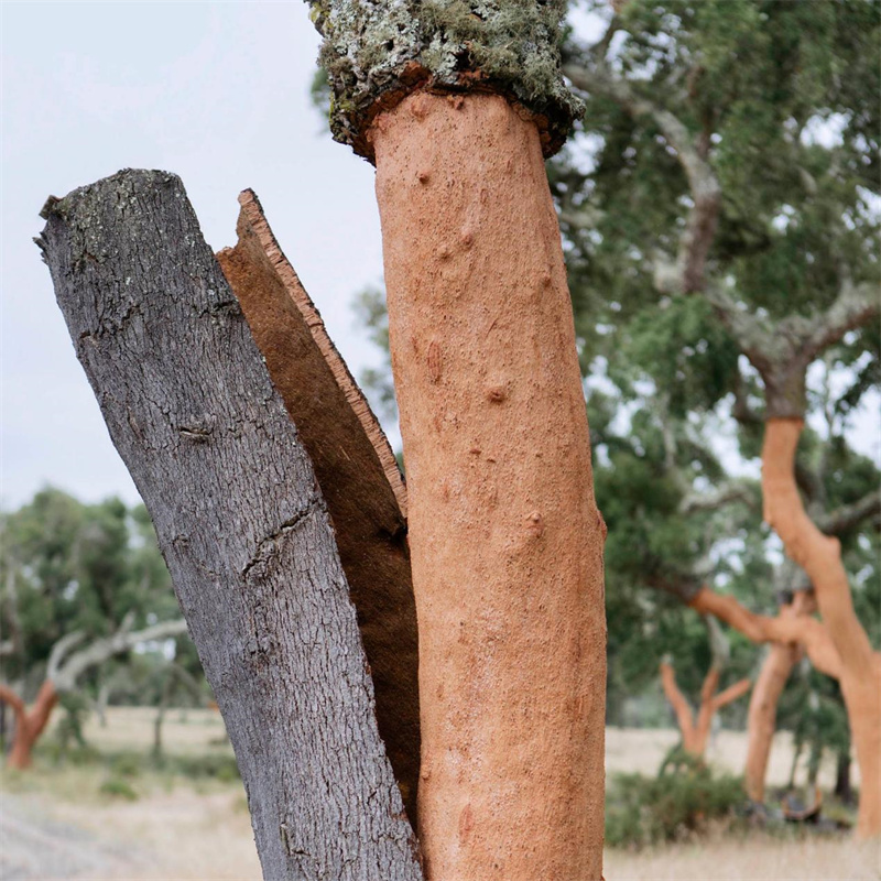 探索健康家居環(huán)境，得高地墻一體推動居住升級 image2