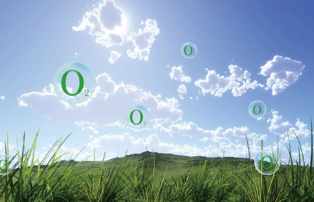 因愛而生,富氧中國|得高以氧創(chuàng)有夢未來 4 因愛而生,富氧中國|得高以氧創(chuàng)有夢未來 4