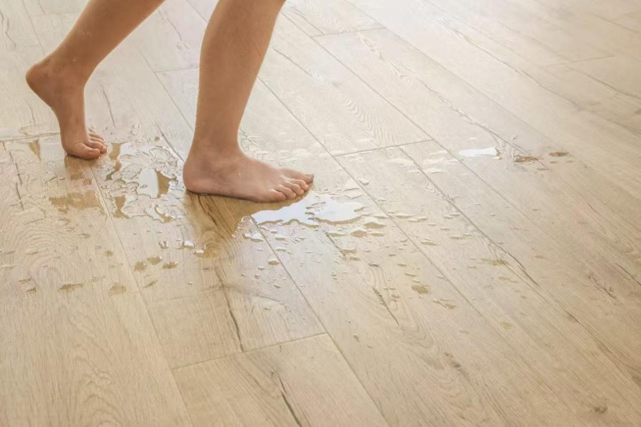 家裝設計師和甲方業主能否雙向奔赴？ 圖片4