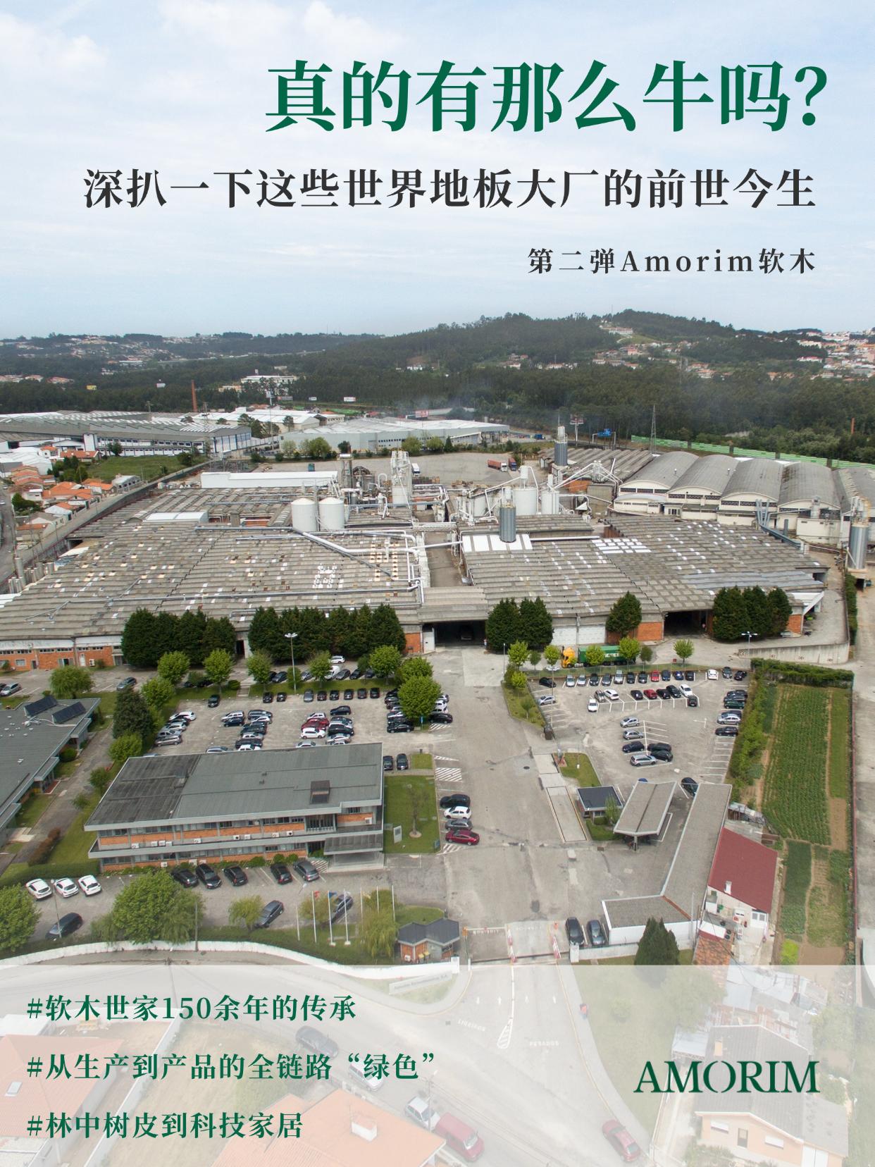 真的有那么牛嗎？深扒一下這些世界地板大廠的前世今生 圖片4