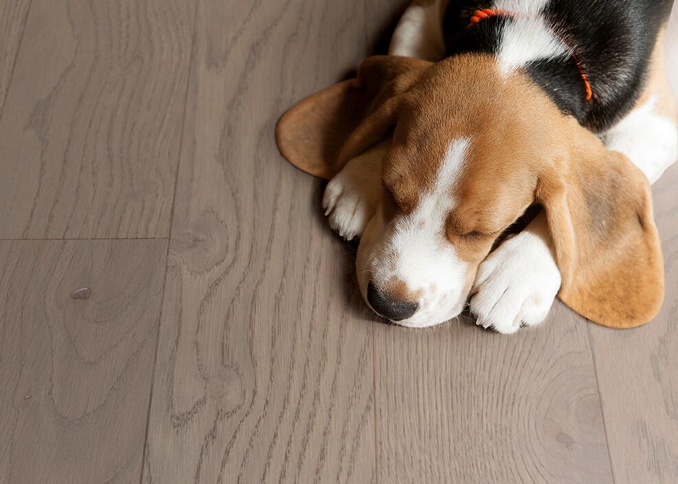 新年大掃除，地板清潔保養指南 圖片23