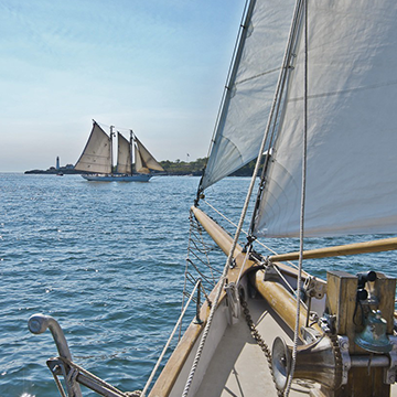 第十五卷,揚(yáng)帆起航8-526,進(jìn)口地板